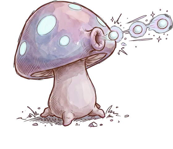Seta / Mushroom